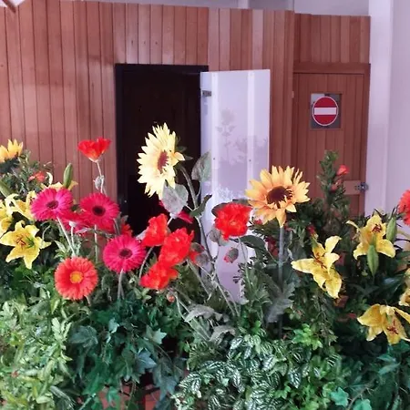 Gonzaga 卡纳泽伊