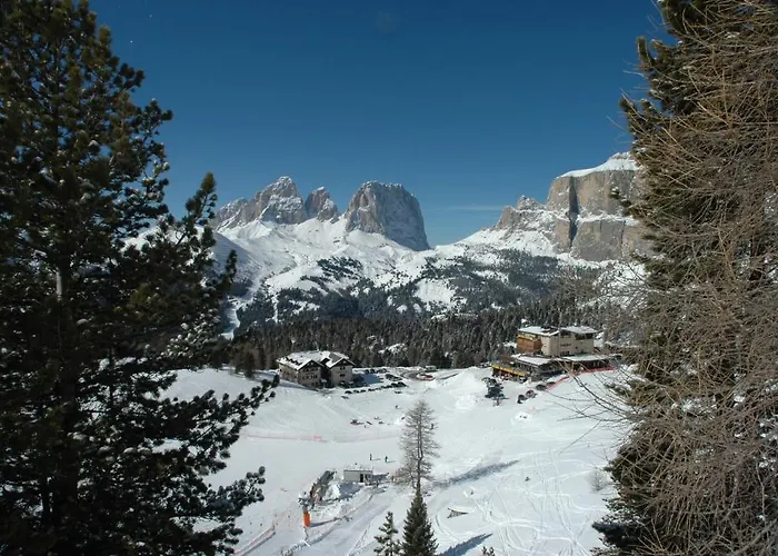 Gonzaga 3* Канацеи