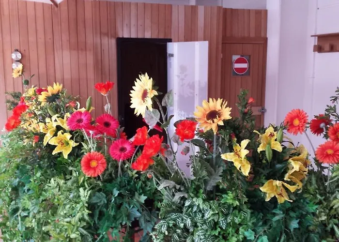 Gonzaga Канацеи